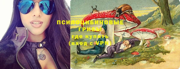 МДПВ Алзамай