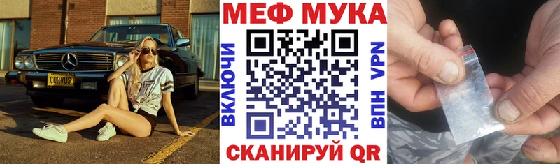 МЯУ-МЯУ мяу мяу  закладка  Сольцы 