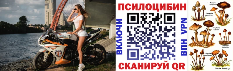 Псилоцибиновые грибы мухоморы  Сольцы 